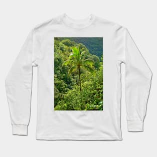 Iao Valley State Monument Study 3 Long Sleeve T-Shirt